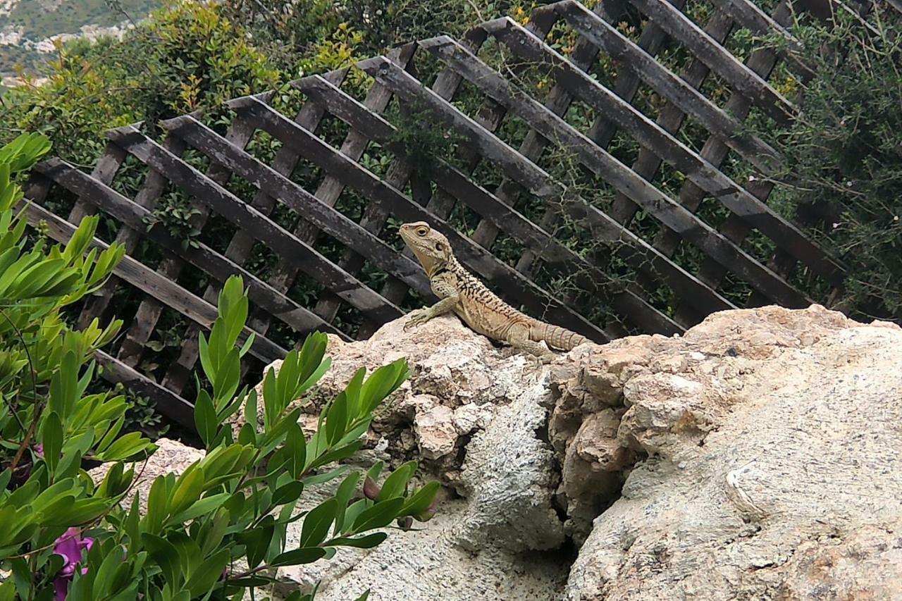 Villa Hermiona Κούκλια Εξωτερικό φωτογραφία